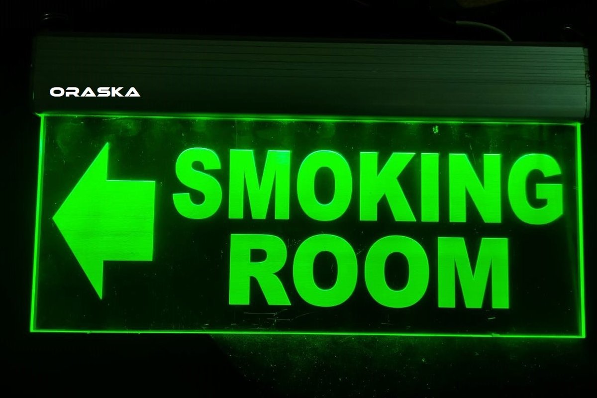 ORASKA Emergency Smoking Room Sign SparkPro A33 Clear Exit Sign Light 14 by 8 inch